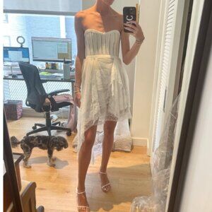 CUSTOM Danielle Frankel Bustier & Lace Dress - 0